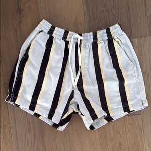 Urban Outfitters Sky Blue and Black Striped Shorts